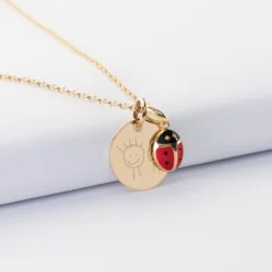 Best HappyBulle Pendentif enfant personnalisé médaille gravée plaqué or 15 mm et breloque email coccinelle 8 mm Plaqué or 18k