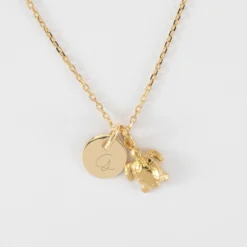 Sale HappyBulle Pendentif personnalisé médaille gravée plaqué or 10 mm et breloque tortue 10 mm