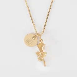 Clearance HappyBulle Pendentif personnalisé médaille gravée plaqué or 10 mm et breloque rose 19 mm