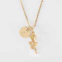 Clearance HappyBulle Pendentif personnalisé médaille gravée plaqué or 10 mm et breloque rose 19 mm